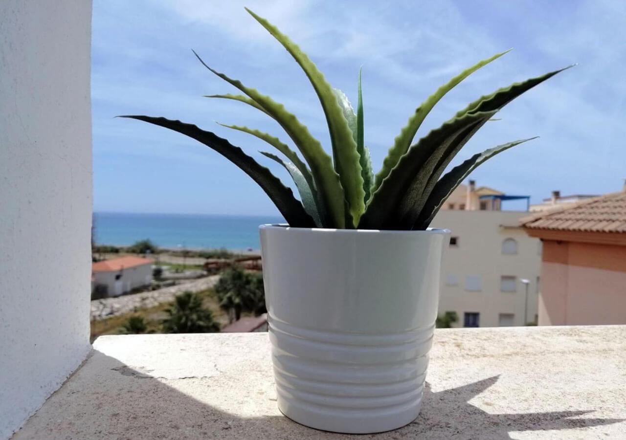 Dunas Jewel Apartment Morche Εξωτερικό φωτογραφία